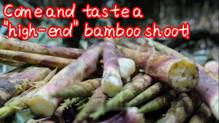 Come and taste a "high-end" bamboo shoot!