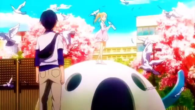 kimito(咯迷）orange