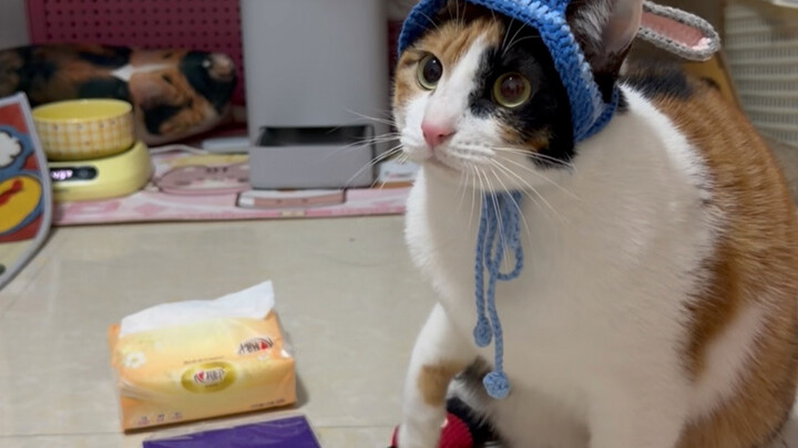 Really thinking about it.