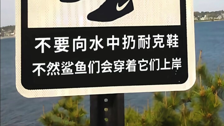 ⚡เดี๋ยวก่อน…ฉลามใส่รองเท้าไนกี้?