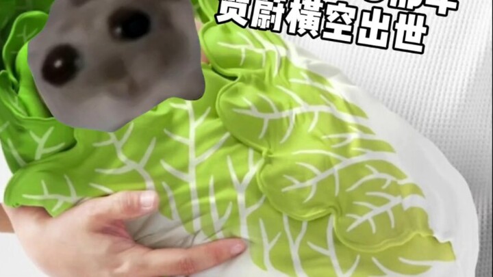 《贺蔚传奇》     所以呢？池嘉寒什么时候回我消息。