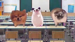 Berbagai orang dalam sepuluh menit antar kelas