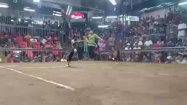 WWWW.           5 stag local band @SMX