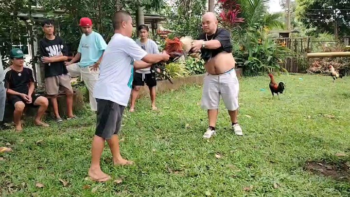 escolin boston vs 5k sweater/psg