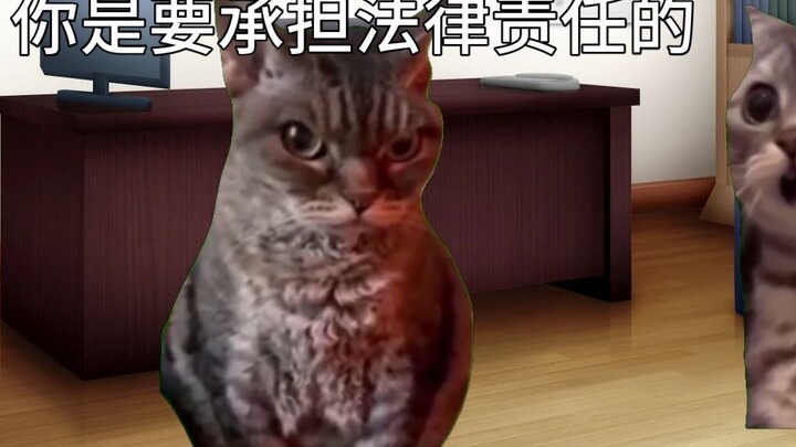 【Cat meme】Translating at the police station again