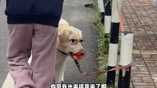 狗子：你没完了？