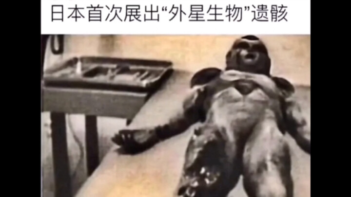 Người trong cuộc nhất quyết yêu cầu xóa video này hahaha!!!❺