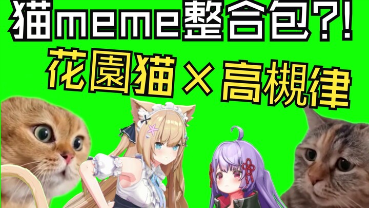 เราลอกเลียนเมมแมวสุดฮิตของจีนมาแล้ว?! ทุกคนใช้ได้ตามอิสระเลยนะ! 【Garden Serena × ทาคัตสึกิ ริตสึ】
