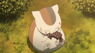 [ Natsume's Book of Friends ] Natsume-san is really round, soft and cute