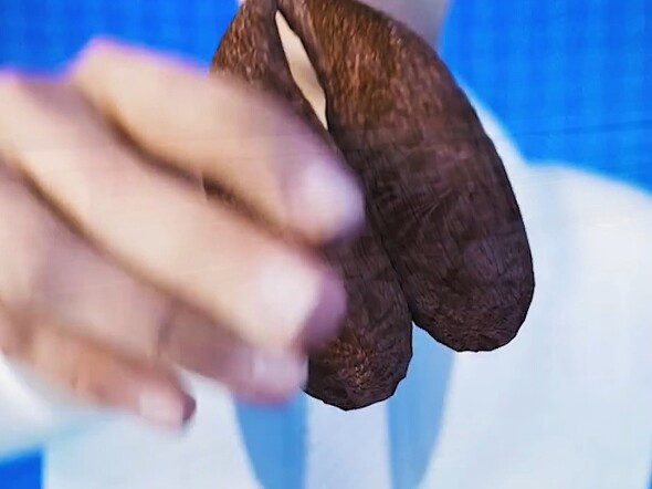 Sharing some interesting science facts every day.