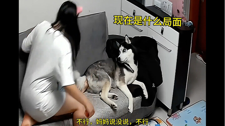 妈妈居然让家里的狗，咬一岁半的儿子