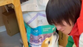 Thử thách về nhà còn nhiệt tình hơn cả chó, ai thua ai thắng?