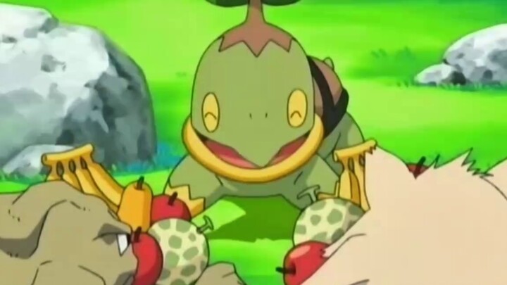 Pokémon 丨 Tutai Turtle: What is it like to be in the same class with two stars and I am just cannon 