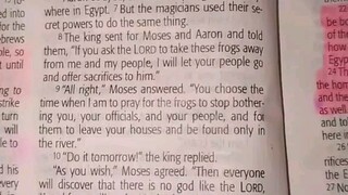 Daily Verse.                  Exodus 8:6-15