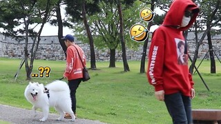 Chó có thể nhận ra chủ của nó ở ngoài không?
