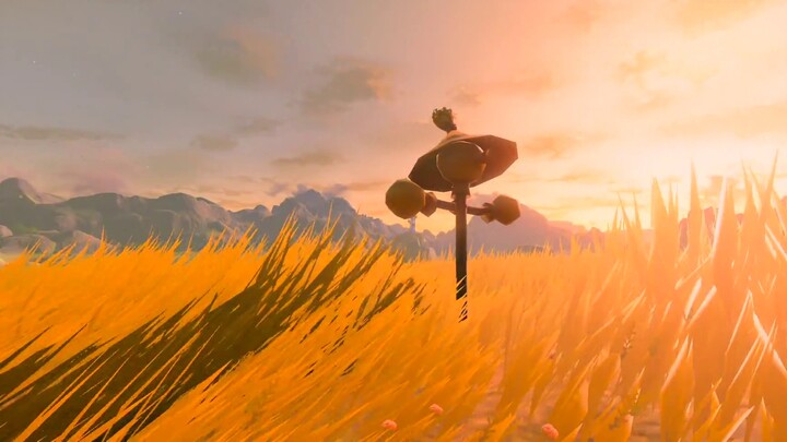 "The Legend of Zelda" 1400 hours of Hyrule Traveler site-spotting clips "First-person perspective"