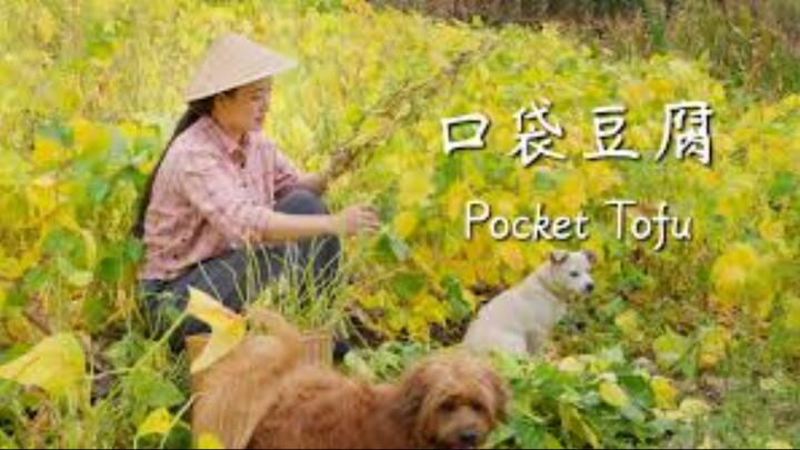 Pocket tofu| springy outside, silky inside |Baoshan’s “bursting tofu pearls