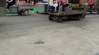 学校里最受欢迎的车队