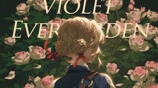 「VIOLET」我将用两分钟夺走你的币！