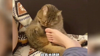 Cat: Is there no one speaking up for me?