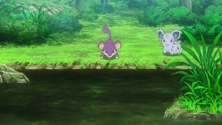 «POKEMON-JOURNEY»«FULL EPISODE 53