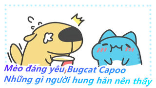Mèo đáng yêu Bugcat Capoo| Đây là những gì người hung hăn nên thấy