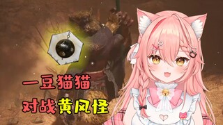 一豆猫猫拿到定风珠后功力大增，快速拿下黄风怪