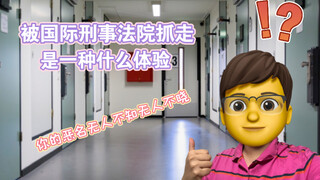 P社玩家，但是和非洲军阀一起蹲号子（国际刑事法院科普第二期）