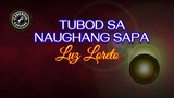Tubod Sa Naughang Sapa (Karaoke) - Luz Loreto