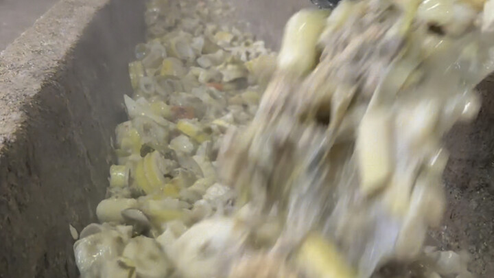 Penggemar babi, kalau kalian suka makan rebung, hari ini makan sepuasnya!