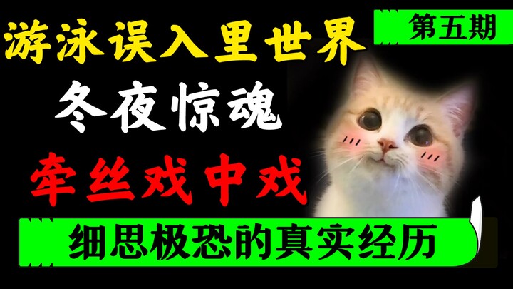 【细思极恐】慎独看!!!那个可怕冬夜成了她一生阴影!!!网友戏水误入寂静岭般里世界？牵丝戏讲了什么故事？［诡灵精探5］