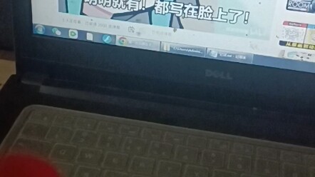 «Nhắm vào Hoa Hoa để chụp ảnh»