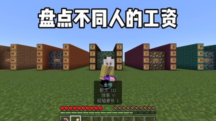 มายคราฟ: สำรวจเงินเดือนของคนแต่ละประเภท