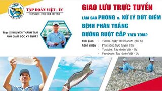 TỔNG HỢP NHỮNG CHIA SẺ HAY VỀ THẢO DƯỢC TRỊ BỆNH PHÂN TRẮNG CHO TÔM