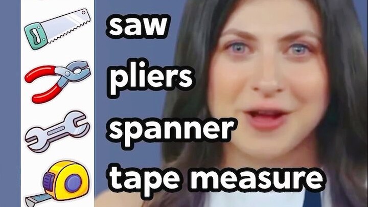 Can you read these English tools and insects?