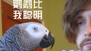鹦鹉比我聪明