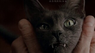 【Keanu Reeves】Flesh