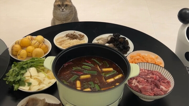 Rainy day, hot pot, and watching the game with a cat
