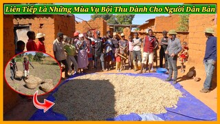 Nông Nghiệp VIỆT NAM ở Châu Phi || Liên Tiếp Là Những Vụ Mùa Bội Thu Dành Cho Người Bản Địa