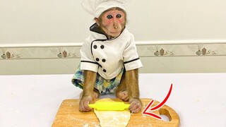 Peliharaan Imut-Monyet Yoyo Pertama Kali Membuat Kue
