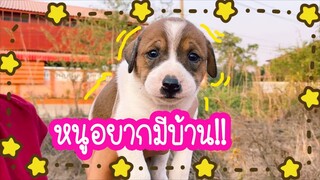 โลกของแสนดี ตอน ตัวเมียไม่มีคนรักหรอ?