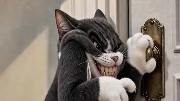 Kucing dan Tikus yang Sombong dengan Kepandaiannya Sendiri