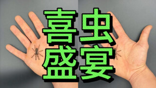 警告⚠️各种虫子的幼体vs成体-超漂亮！