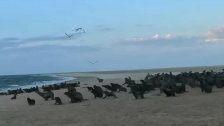 Pekerjaan yang Sangat-Sangat Berarti