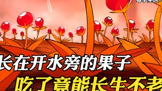 这是长在开水旁的果子，吃一颗提神醒脑，两颗永不疲劳，三颗长生不老