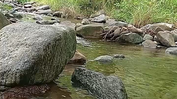ligo sa batis
