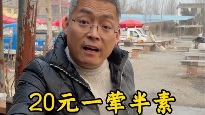 20 yuan for one meat dish and one vegetable dish