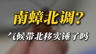 Sự di chuyển của gián từ Nam ra Bắc? Sẽ thành hiện thực vào năm 2025