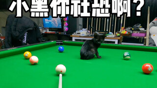 This little black guy is so socially anxious!