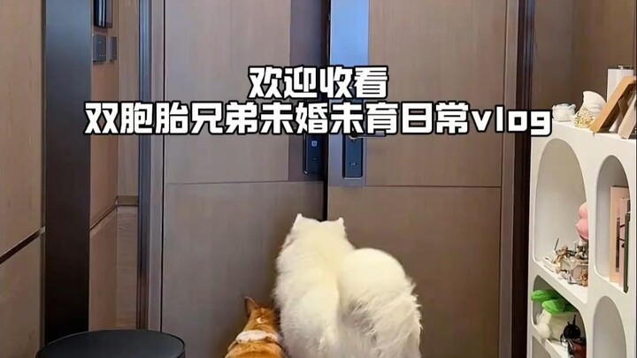 Cuộc sống vốn dĩ rất thú vị!